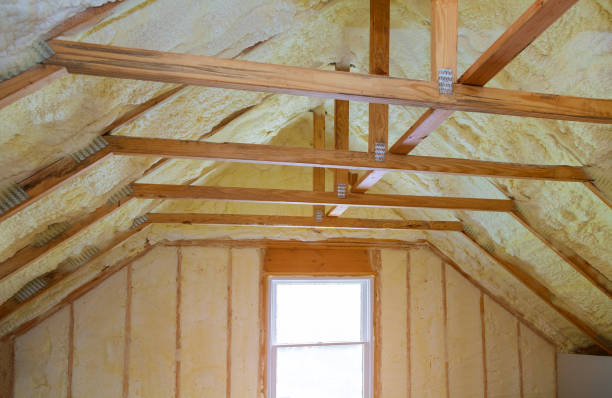 Best DIY Insulation Kits and Guidance in Brundidge, AL