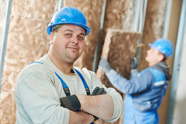 Best Eco-Friendly Insulation in Brundidge, AL